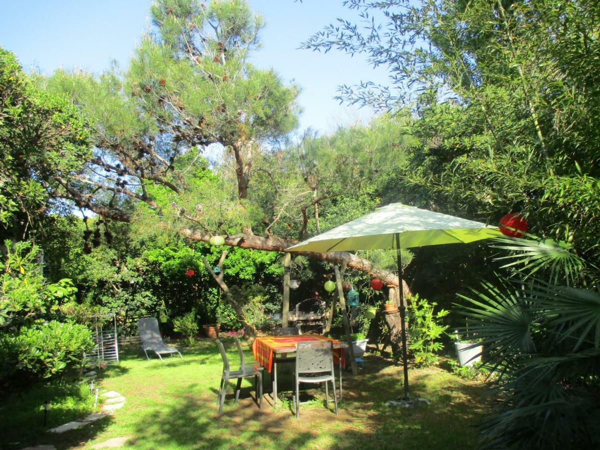 Jardin et bambous, studio cosy, classé Marseillan  Esterno foto