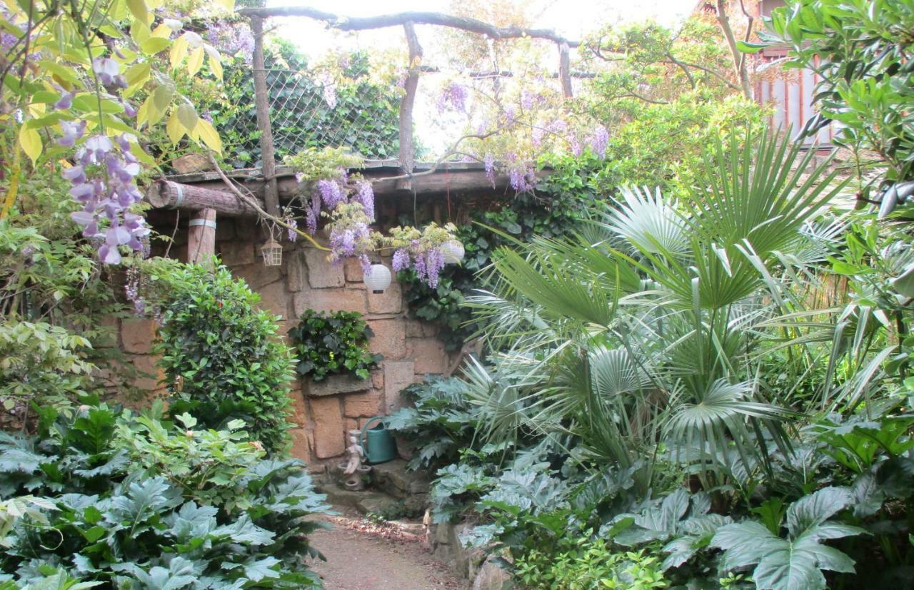 Jardin et bambous, studio cosy, classé Marseillan  Esterno foto