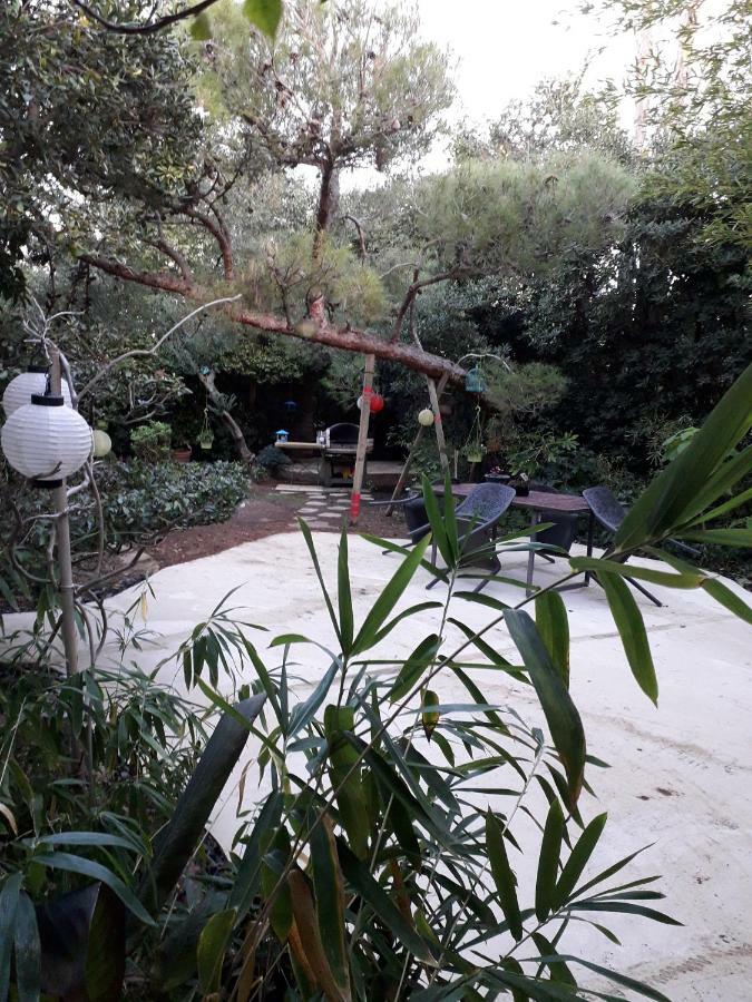 Jardin et bambous, studio cosy, classé Marseillan  Esterno foto