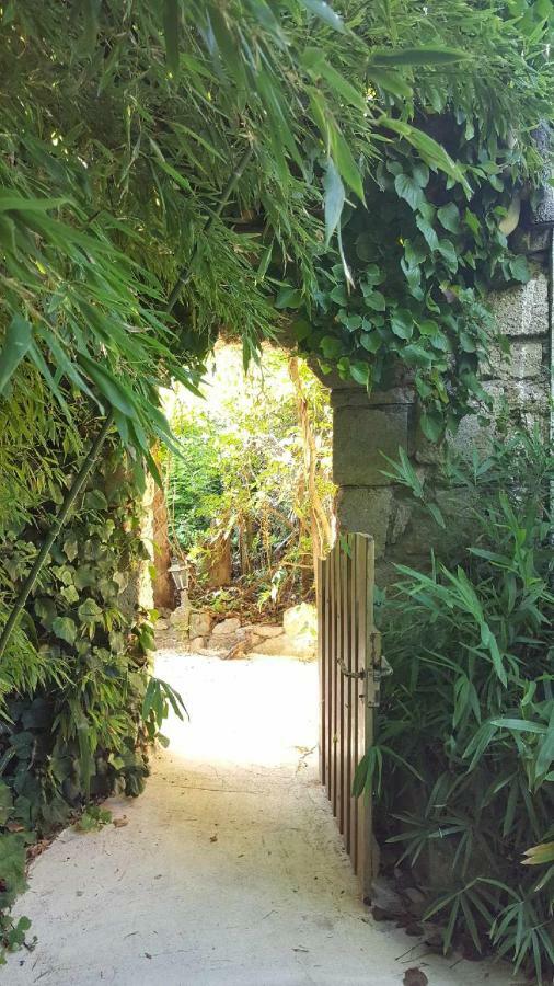Jardin et bambous, studio cosy, classé Marseillan  Esterno foto
