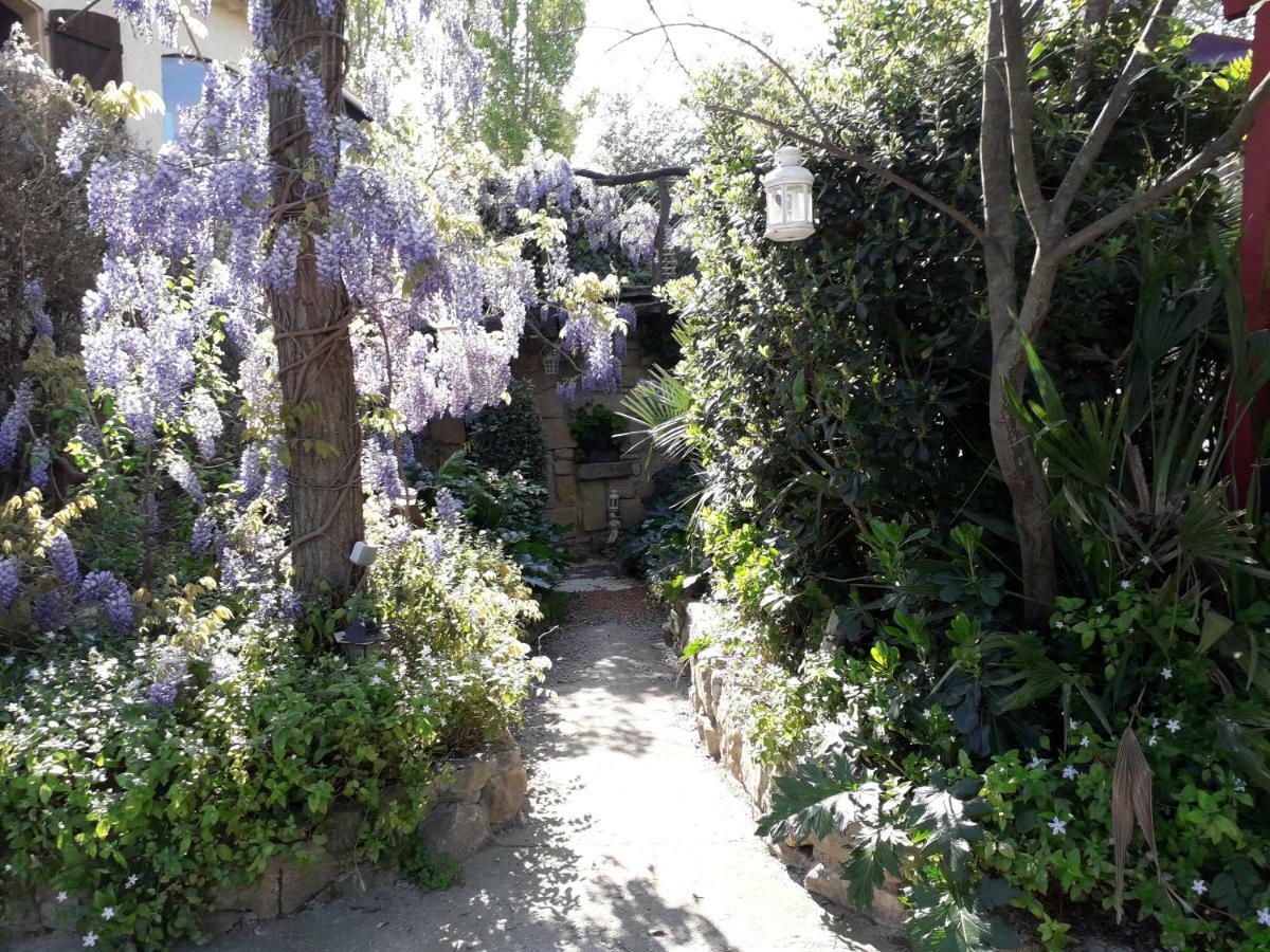 Jardin et bambous, studio cosy, classé Marseillan  Esterno foto